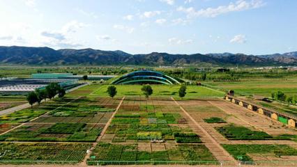 內蒙古草種業(yè)技術創(chuàng)新中心獲批!加快向&ldquo;國家級&rdquo;目標邁進