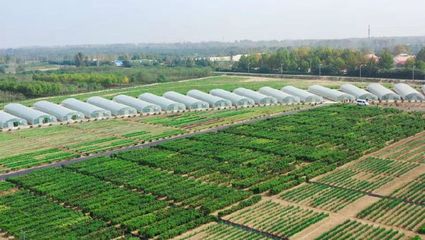 2021第三屆鄭州種業(yè)博覽會暨第六屆中原國際種業(yè)科技展覽會將啟