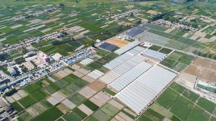 地展征集!第五屆酒泉現(xiàn)代種業(yè)博覽會來了