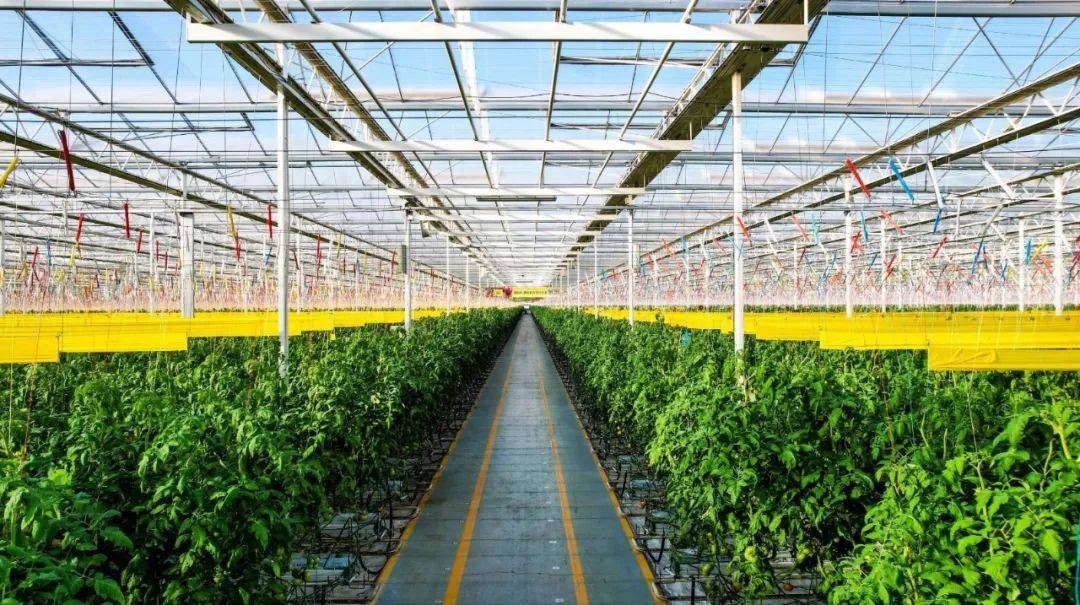 政策導向|首提1.4萬億斤糧食產(chǎn)量新目標,有何依據(jù),如何實現(xiàn)?_農(nóng)業(yè)_生