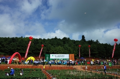 2019云南蔬菜種業(yè)博覽會開幕，推動種業(yè)創(chuàng)新與蔬菜產(chǎn)業(yè)升級